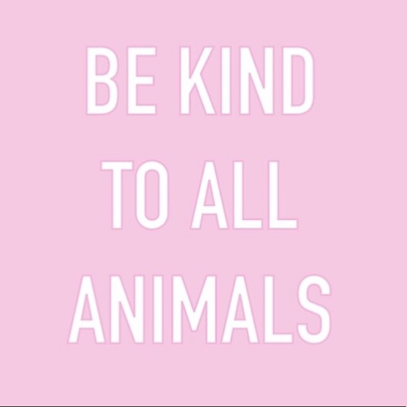 Hello 😄🐶❤️🐶 - Picture 8 of 11